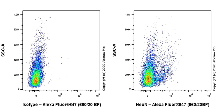 Flow Cytometry (Intracellular) - Anti-NeuN antibody [EPR12763] - Mouse IgG1 (Chimeric) - BSA and Azide free (AB279307)