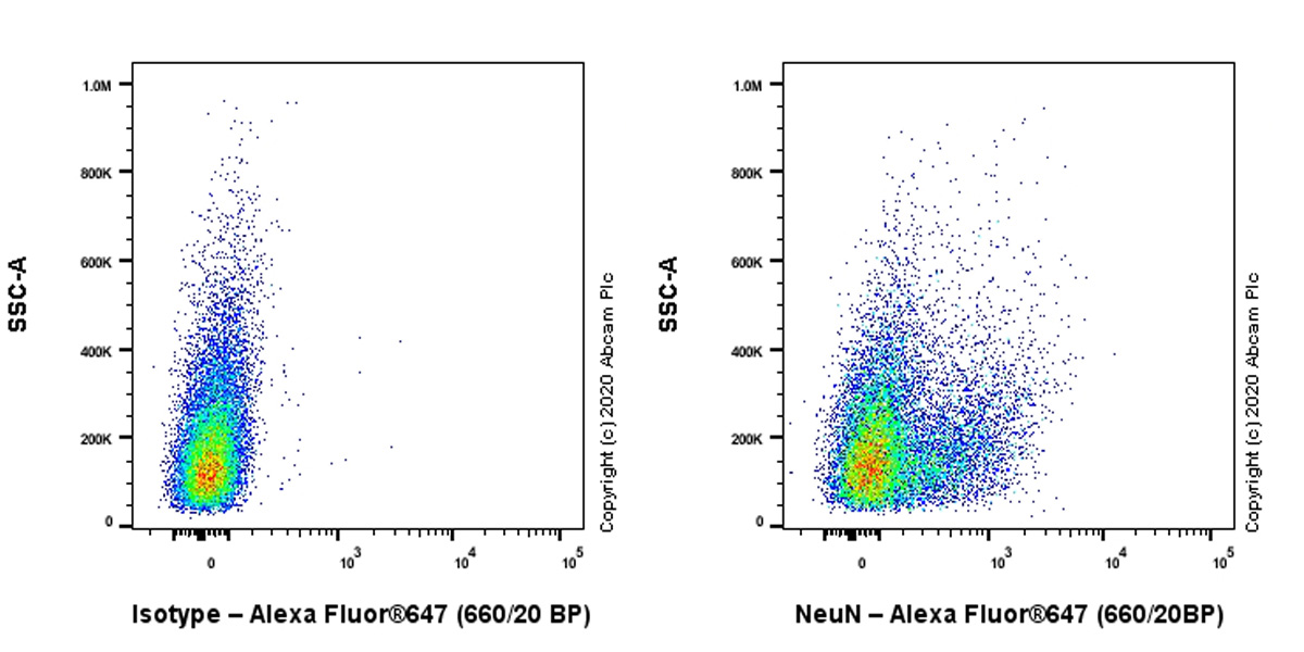 Flow Cytometry (Intracellular) - Anti-NeuN antibody [EPR12763] - Mouse IgG2a (Chimeric) (ab279296), expandable thumbnail