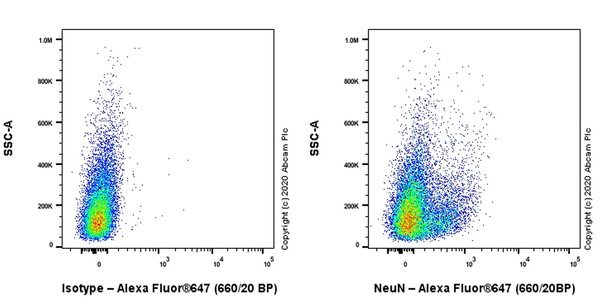 Flow Cytometry (Intracellular) - Anti-NeuN antibody [EPR12763] - Rat IgG2a (Chimeric) (AB279297), expandable thumbnail