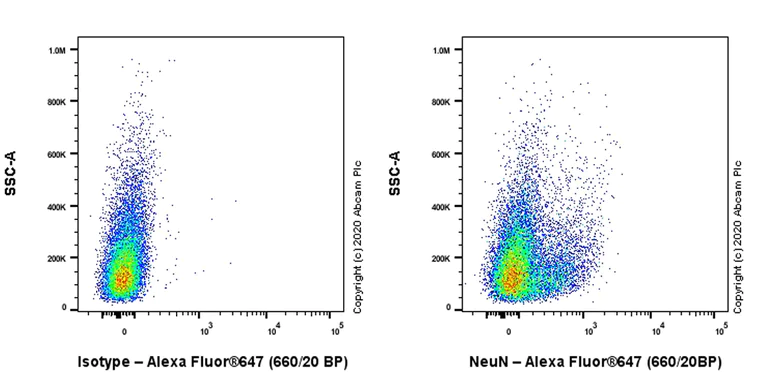 Flow Cytometry (Intracellular) - Anti-NeuN antibody [EPR12763] - Rat IgG2a (Chimeric) - BSA and Azide free (AB279309)