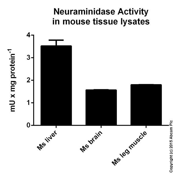 Functional Studies - Neuraminidase Assay Kit (Fluorometric - Blue) (AB138888)