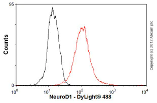 Anti-NeuroD1 antibody [3H8] - Carrier free (ab60704) | Abcam