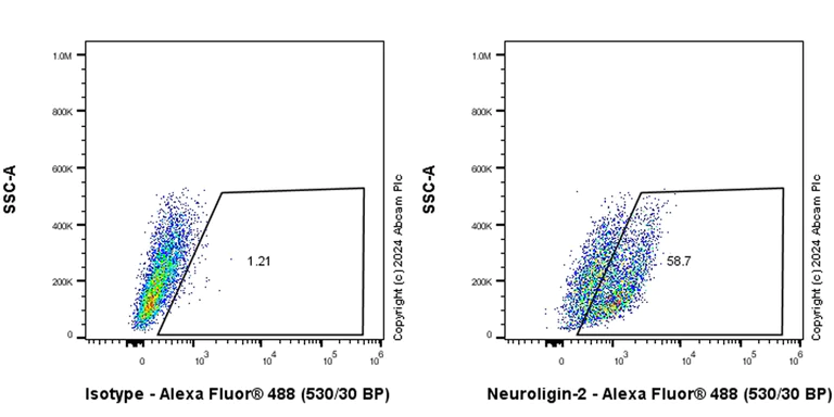 Flow Cytometry - Anti-Neuroligin 2 antibody [EPR28230-122] - BSA and Azide free (AB317304)