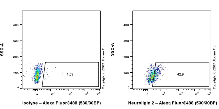 Flow Cytometry - Anti-Neuroligin 2 antibody [EPR28230-122] - BSA and Azide free (AB317304)