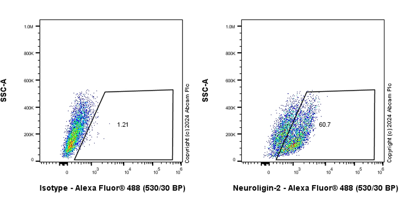 Flow Cytometry - Anti-Neuroligin 2 antibody [RM2048] (AB317510), expandable thumbnail