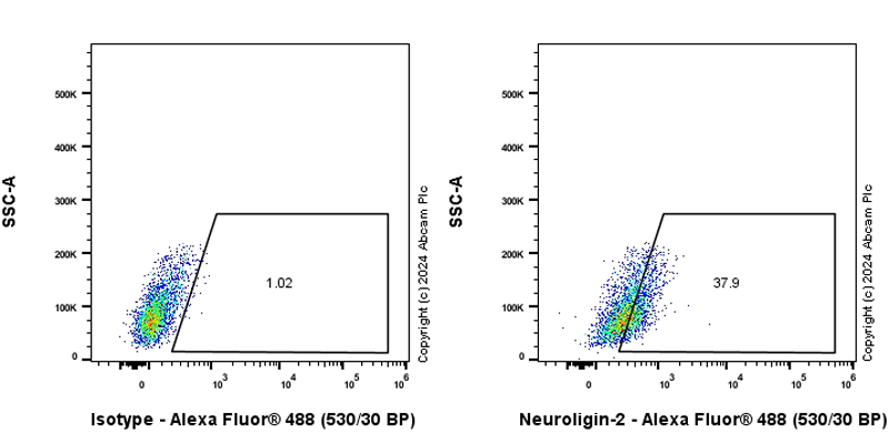 Flow Cytometry - Anti-Neuroligin 2 antibody [RM2048] (AB317510), expandable thumbnail