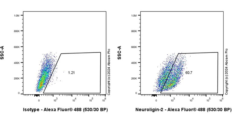 Flow Cytometry - Anti-Neuroligin 2 antibody [RM2048] - BSA and Azide free (AB317511)