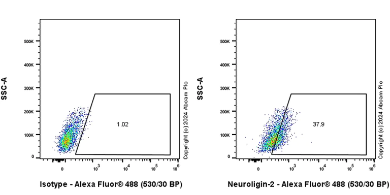 Flow Cytometry - Anti-Neuroligin 2 antibody [RM2048] - BSA and Azide free (AB317511)