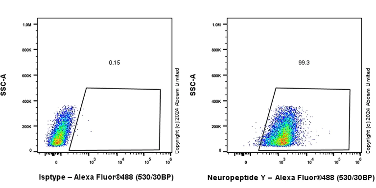 Flow Cytometry - Anti-Neuropeptide Y antibody [EPR21877] (AB221145)