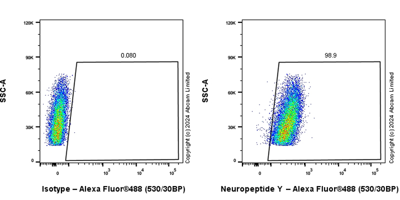 Flow Cytometry (Intracellular) - Anti-Neuropeptide Y antibody [RM1201] - BSA and Azide free (ab319116), expandable thumbnail