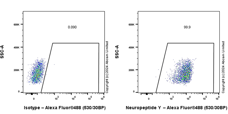 Flow Cytometry (Intracellular) - Anti-Neuropeptide Y antibody [RM1201] - BSA and Azide free (ab319116), expandable thumbnail