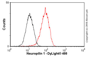 Flow Cytometry (Intracellular) - Anti-Neuropilin 1 antibody [EPR3113] (ab81321), expandable thumbnail