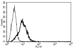 Flow Cytometry - Anti-Neurotensin Receptor 1/NTSR1 antibody [B-N6] (AB27380)