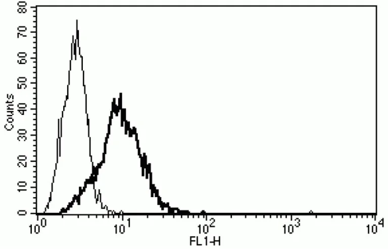 Flow Cytometry - Anti-Neurotensin Receptor 1/NTSR1 antibody [B-N6] - BSA and Azide free (AB269711)