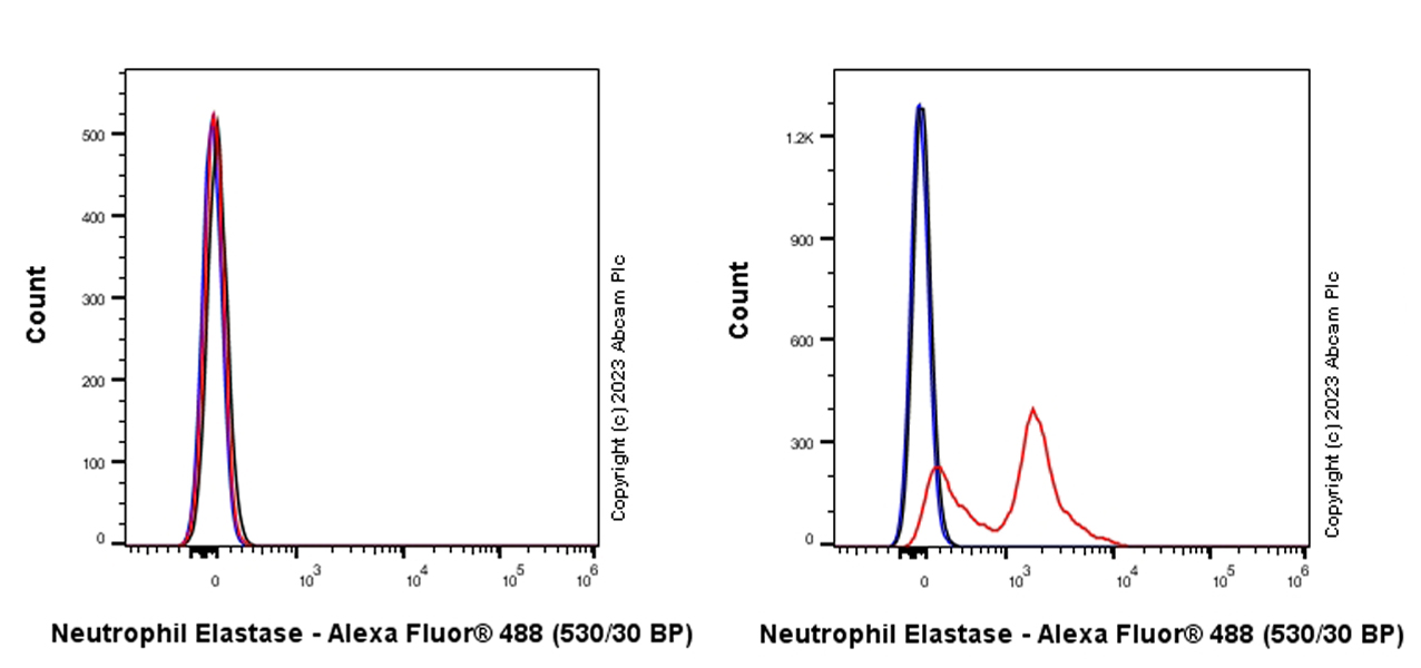 Flow Cytometry (Intracellular) - Anti-Neutrophil Elastase antibody [EPR28386-175] (AB315901), expandable thumbnail