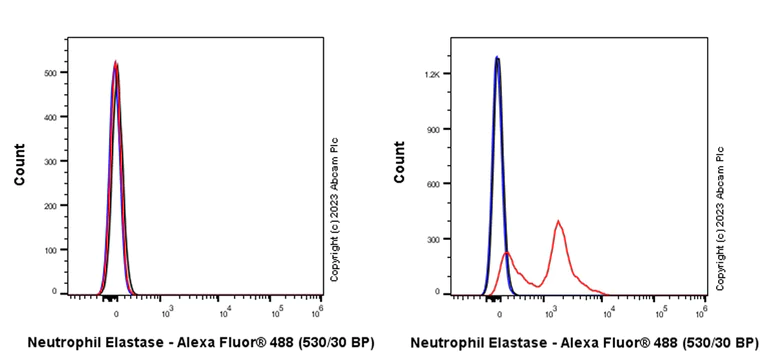 Flow Cytometry (Intracellular) - Anti-Neutrophil Elastase antibody [EPR28386-175] (AB315901)