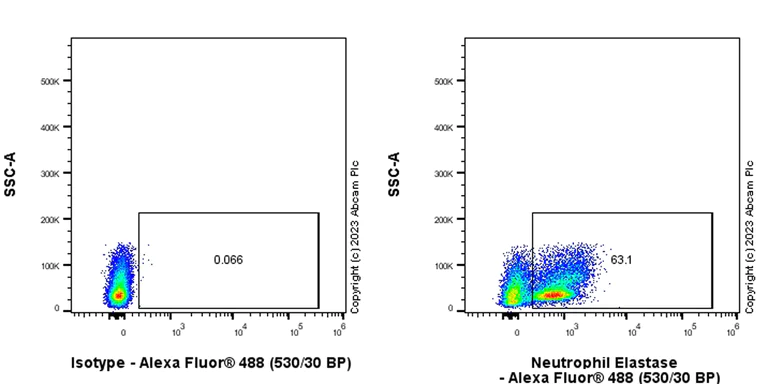 Flow Cytometry (Intracellular) - Anti-Neutrophil Elastase antibody [EPR28386-66] (AB310335)