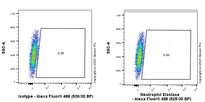 Flow Cytometry (Intracellular) - Anti-Neutrophil Elastase antibody [EPR28386-66] (ab310335), expandable thumbnail