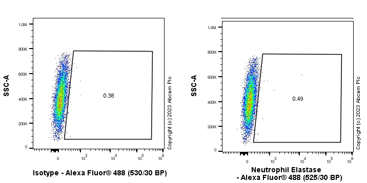 Flow Cytometry (Intracellular) - Anti-Neutrophil Elastase antibody [EPR28386-66] (AB310335)