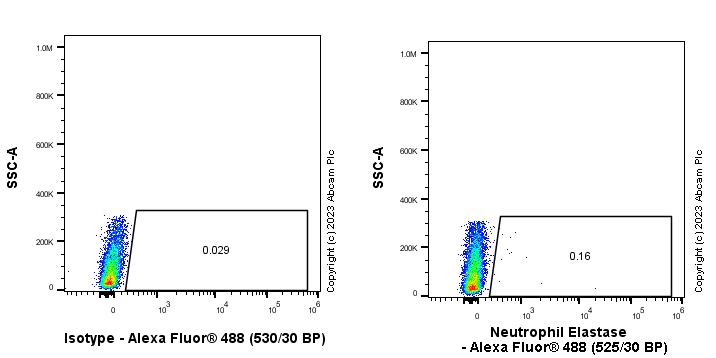 Flow Cytometry (Intracellular) - Anti-Neutrophil Elastase antibody [EPR28386-66] (ab310335), expandable thumbnail