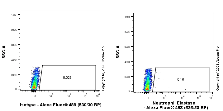 Flow Cytometry (Intracellular) - Anti-Neutrophil Elastase antibody [EPR28386-66] (AB310335)