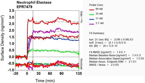 OI-RD Scanning - Anti-Neutrophil Elastase antibody [EPR7479] - BSA and Azide free (AB219585)