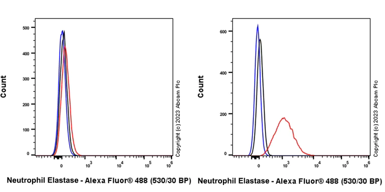Flow Cytometry (Intracellular) - Anti-Neutrophil Elastase antibody [RM1077] - BSA and Azide free (AB314917)