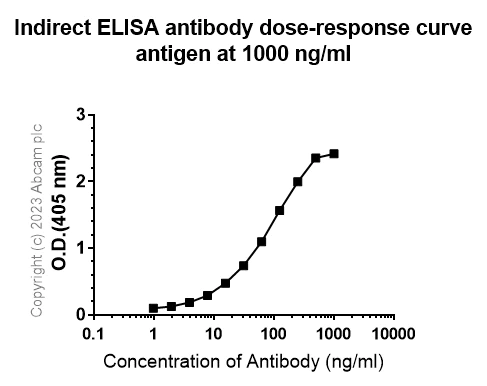 Indirect ELISA - Anti-Neutrophil Elastase antibody [RM1077] - BSA and Azide free (AB314917)