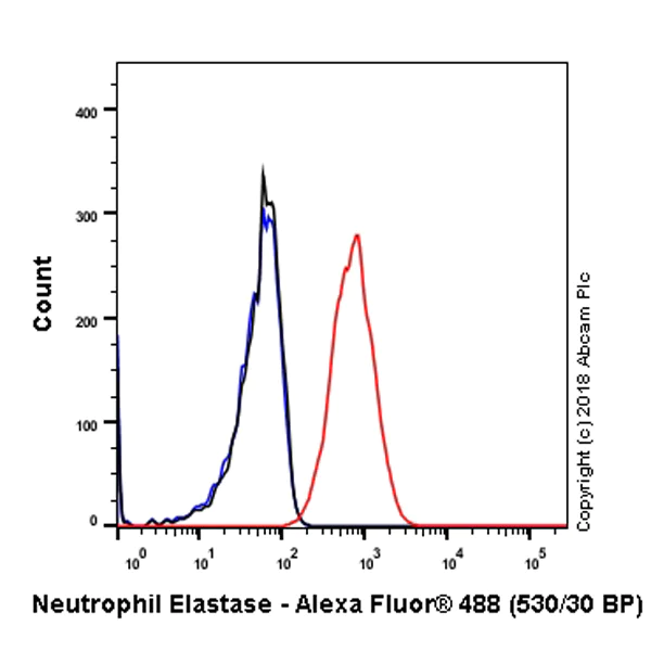 Flow Cytometry (Intracellular) - Anti-Neutrophil Elastase antibody [SP203] - BSA and Azide free (AB243923)