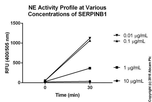 Functional Studies - Neutrophil Elastase Inhibitor Assay Kit (AB118971)