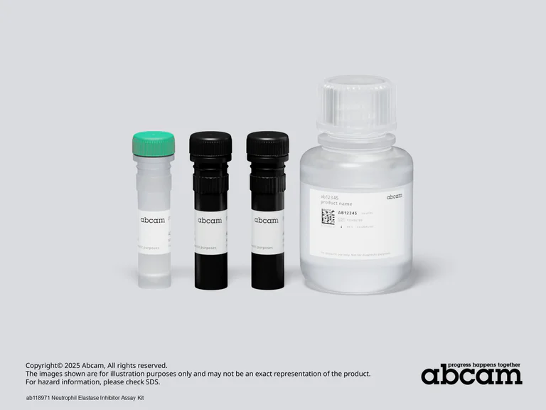 Schematic Diagram - Neutrophil Elastase Inhibitor Assay Kit (AB118971)