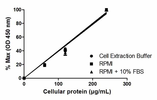Sandwich ELISA - NF kappaB p65 ELISA Kit (AB176648), expandable thumbnail