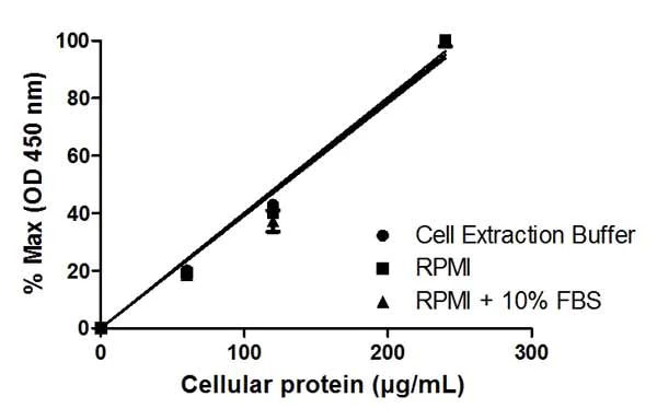 Sandwich ELISA - NF kappaB p65 ELISA Kit (AB176648)