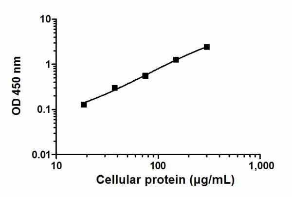 Sandwich ELISA - NF kappaB p65 ELISA Kit (AB176648), expandable thumbnail