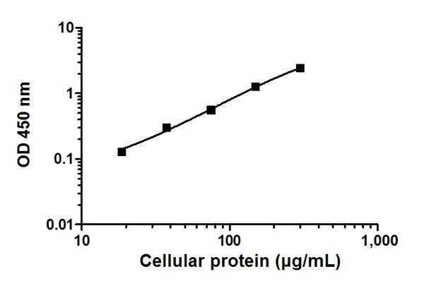 Sandwich ELISA - NF kappaB p65 ELISA Kit (AB176648)
