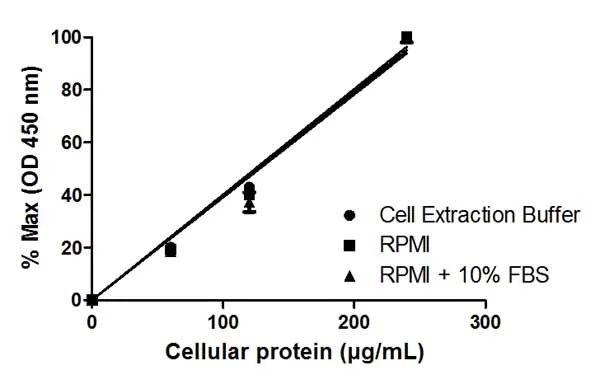 NF kappaB p65 (pS536) ELISA Kit, 90-min ELISA (ab176647) | Abcam