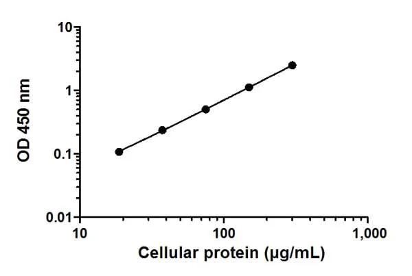 Sandwich ELISA - NF kappaB p65 (pS536) ELISA Kit (AB176647)