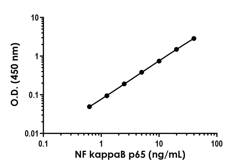 Sandwich ELISA - NF kappaB p65 (RELA) ELISA Kit (AB324509)