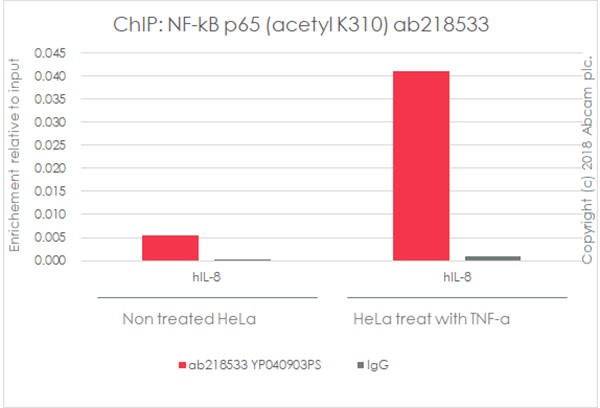 ChIP - Anti-NF-kB p65 (acetyl K310) antibody [EPR21781] - BSA and Azide free (AB237591), expandable thumbnail