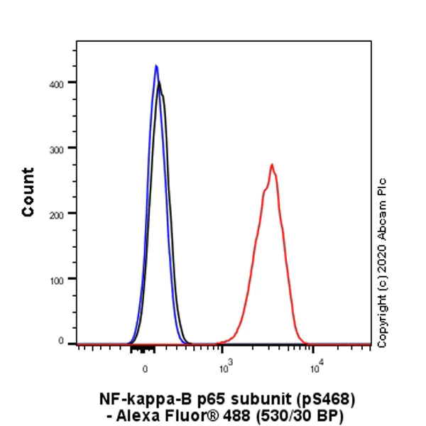 Flow Cytometry (Intracellular) - Anti-NF-kB p65 antibody [EP2161Y] (AB76311)