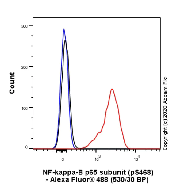 Flow Cytometry (Intracellular) - Anti-NF-kB p65 antibody [EP2161Y] - BSA and Azide free (AB246347)