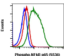 Flow Cytometry - Anti-NF-kB p65 (phospho S536) antibody [NFKBp65S536-B7] (AB278777)