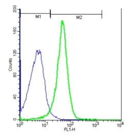Flow Cytometry - Anti-NFAM1 antibody (AB203206)