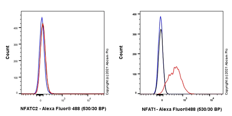 Flow Cytometry (Intracellular) - Anti-NFAT1 antibody [EPR24658-43] - BSA and Azide free (AB283720)