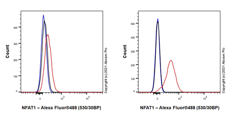 Flow Cytometry (Intracellular) - Anti-NFAT1 antibody [EPR24658-43] - BSA and Azide free (AB283720)