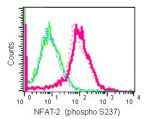 Flow Cytometry (Intracellular) - Anti-NFAT2 (phospho S237) antibody [EPR2377(N)] (AB183023)