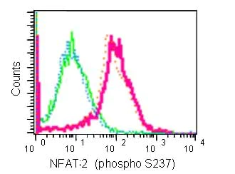 Flow Cytometry (Intracellular) - Anti-NFAT2 (phospho S237) antibody [EPR2377(N)] - BSA and Azide free (AB240262)