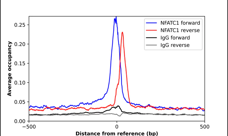 ChIP - Anti-NFATC1 Antibody (AB327276)