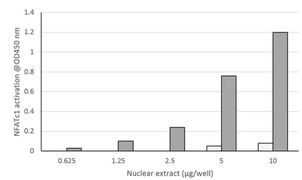 Functional Studies - NFATc1 Transcription Factor Assay Kit (Colorimetric) (AB207215)