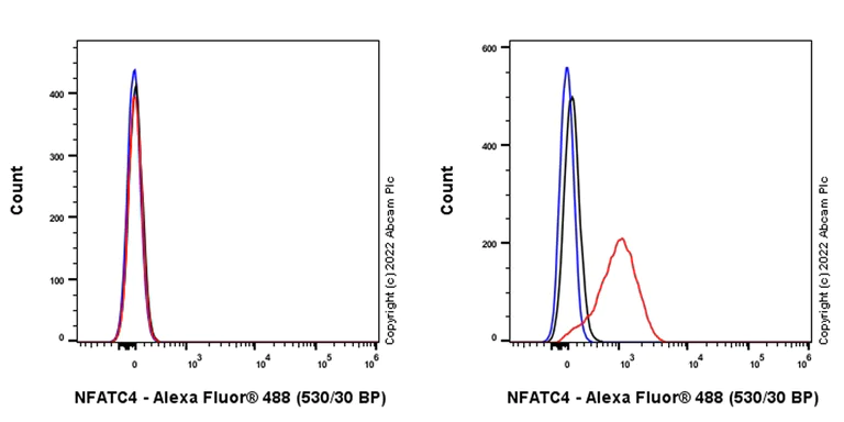 Flow Cytometry (Intracellular) - Anti-NFATC4 antibody [EPR24998-73] - BSA and Azide free (AB307816)